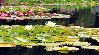 现代